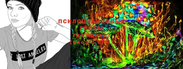 эйфоретик Няндома