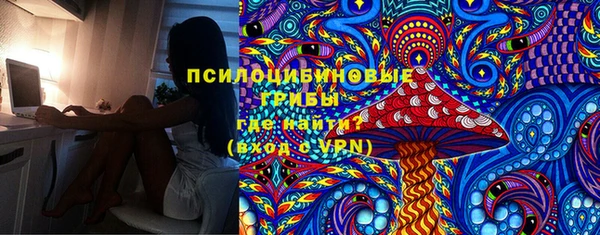 спиды Арсеньев