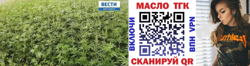 где продают наркотики  Мичуринск  omg зеркало  ТГК концентрат 