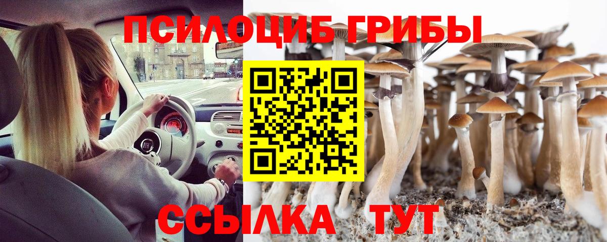 Галлюциногенные грибы мухоморы Мичуринск
