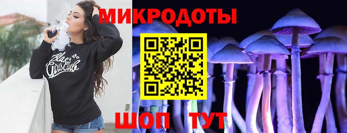 Псилоцибиновые грибы прущие грибы  Вход с VPN  Псилоцибиновые грибы Psilocybe  Мичуринск 